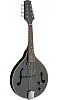 Stagg M50E BLK Электроакустическая мандолина.-0