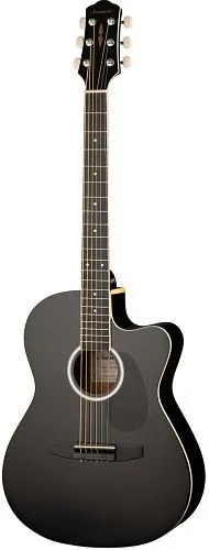 Naranda CAG240CBK Акустическая гитара.