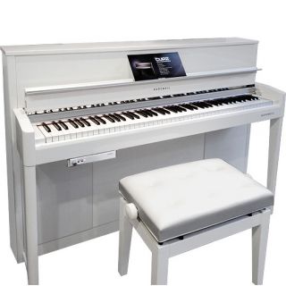 Что лучше для новичка — электропиано или синтезатор?